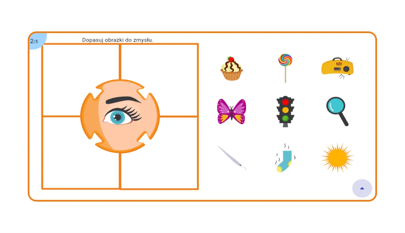 Poznajemy świat zmysłów - gra ogólnorozwojowa